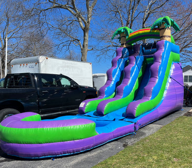 15’ Purple Palm Waterslide