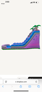 22’ Purple Crush Dual Lane Waterslide